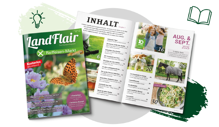 landflair leseprobe ausgabe 04 1600x933